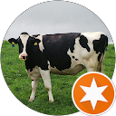 rin toshi profile picture